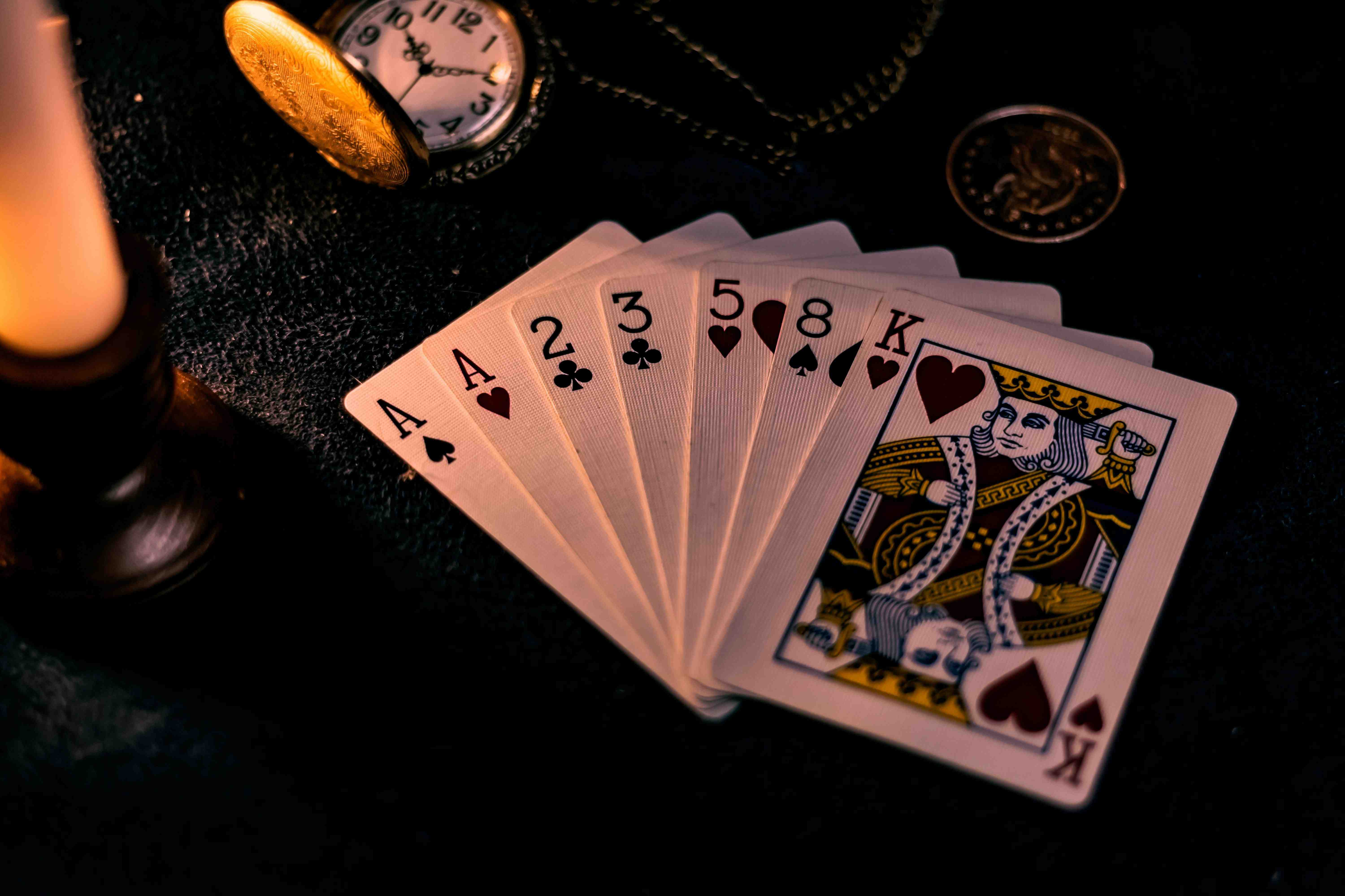 binggoplus platform features overview showing sports and casino categories