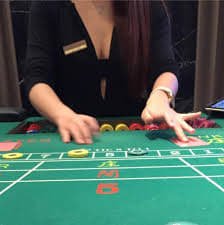 Filipino player checking binggoplus VIP status and exclusive rewards on a smartphone in Philippines